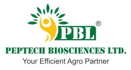 Pbl logo